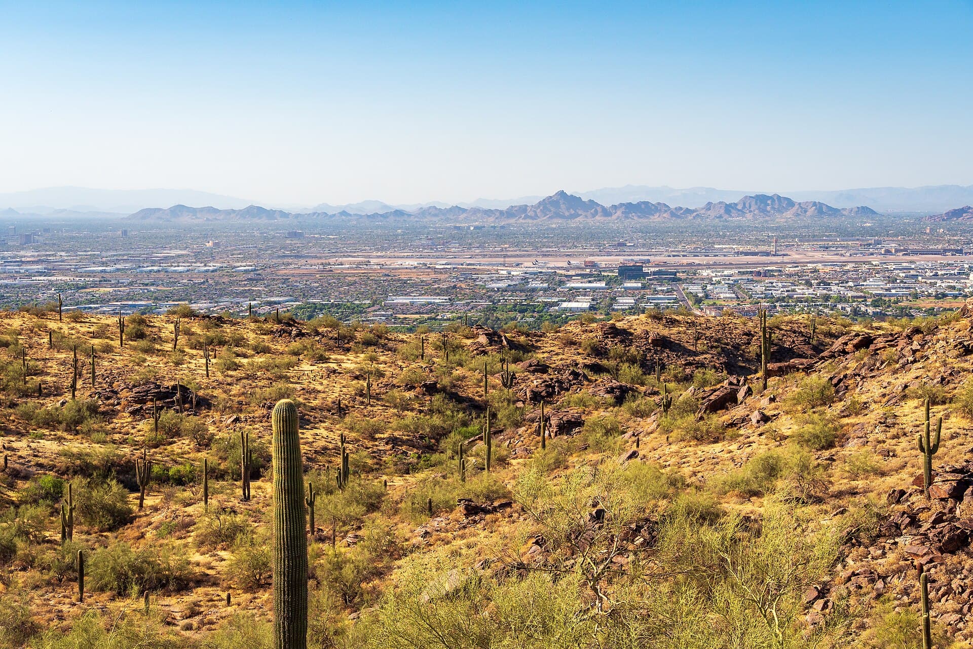 Desert slopes and saguaros in South Mountain Park overlooking the Phoenix urban area
