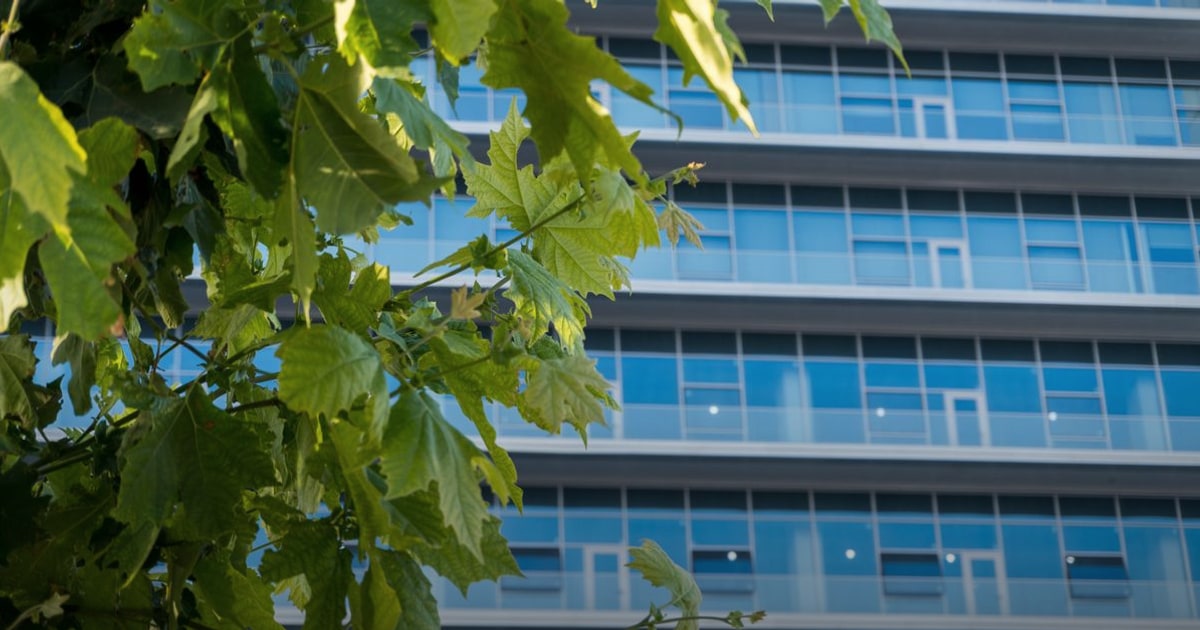 Summa Academy Expands Special Education Footprint with $7.1M Walnut Creek Campus Acquisition